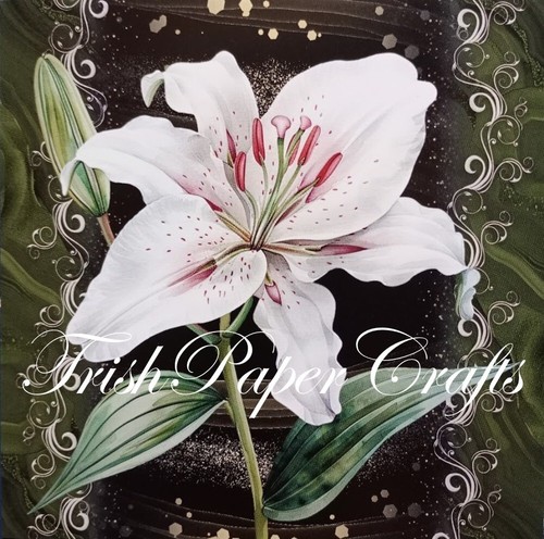 Sample set 5x5 shts - 5x5", ~
