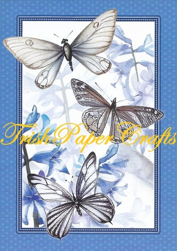Sample set 10xa6 sheets - of,