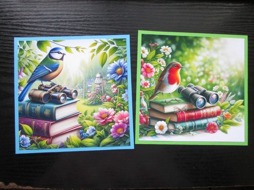 The garden bird watcher - 2, x