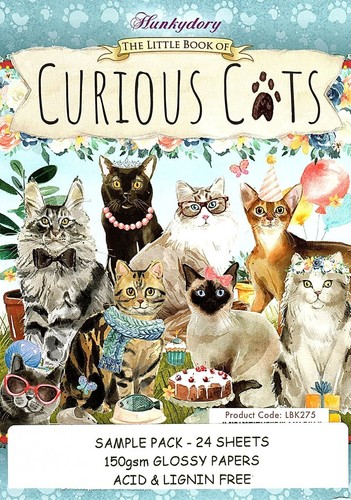 Curious cats hunkydory - curious,