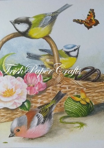 Sample set 12xa6 sheets - of, ~